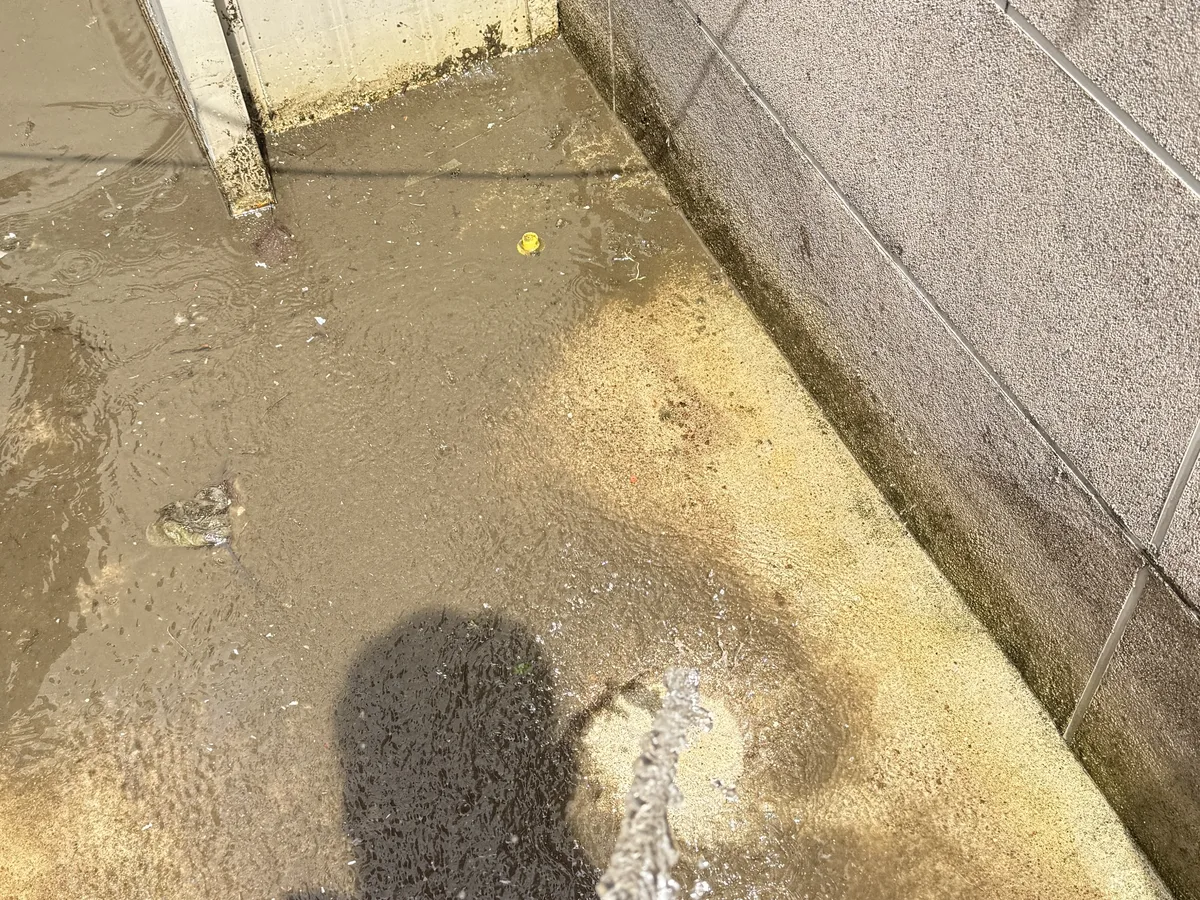 은평구 증산동 침수 현장 복도·대기 동선 야간 위생청소 사례 - 행진크린